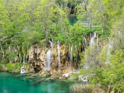 Picture of CROATIA-PLITVICE LAKES NATIONAL PARK. THE PLITVICE LAKES IN THE NATIONAL PARK PLITVICKA JEZERA.