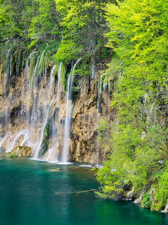 Picture of CROATIA-PLITVICE LAKES NATIONAL PARK. THE PLITVICE LAKES IN THE NATIONAL PARK PLITVICKA JEZERA.