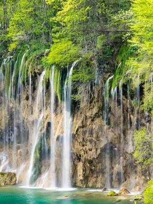 Picture of CROATIA-PLITVICE LAKES NATIONAL PARK. THE PLITVICE LAKES IN THE NATIONAL PARK PLITVICKA JEZERA.