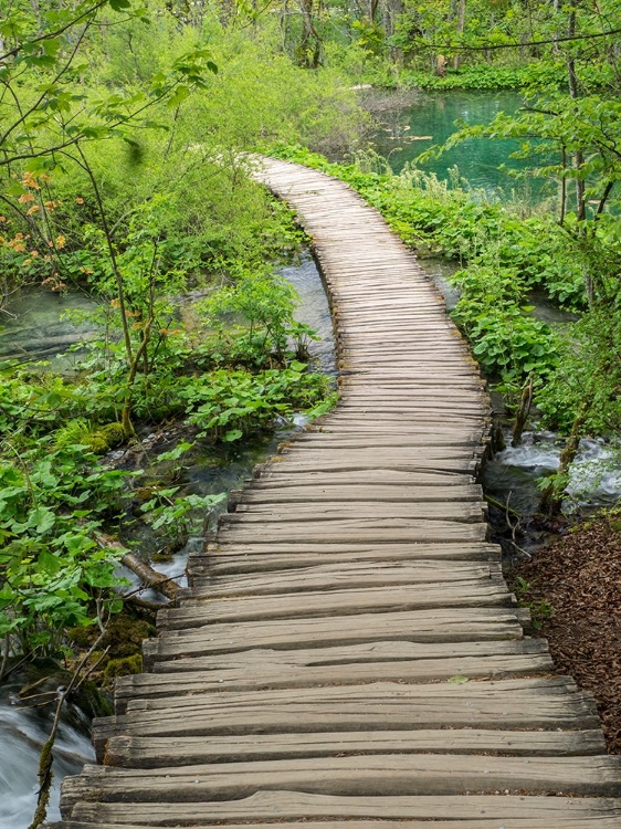 Picture of CROATIA-BOARDWALK IN PLITVICE LAKES NATIONAL PARK.