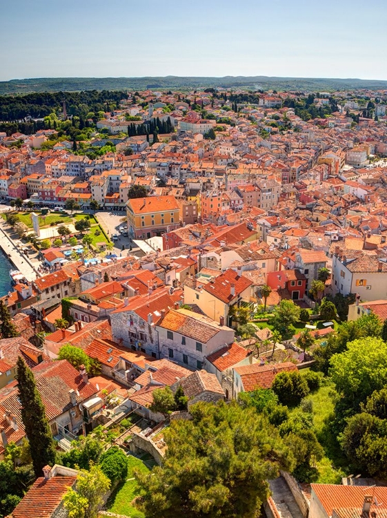 Picture of CROATIA-ROVINJ-ISTRIA. TOWN OF ROVINJ AND HARBOR.