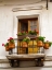 Picture of ECUADOR-QUITO. LA RONDA NEIGHBORHOOD SCENIC OF FLOWER POTS IN WINDOW.
