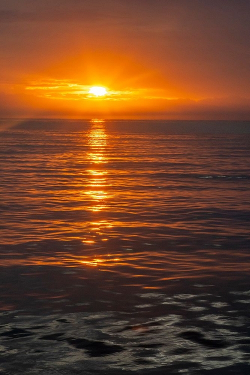Picture of ECUADOR-GALAPAGOS NATIONAL PARK-FLOREANA ISLAND. OCEAN SUNSET.