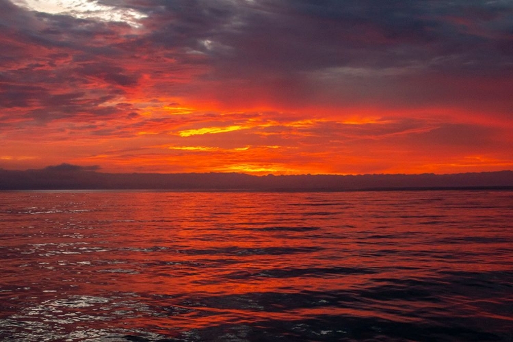 Picture of ECUADOR-GALAPAGOS NATIONAL PARK-FLOREANA ISLAND. OCEAN SUNSET.