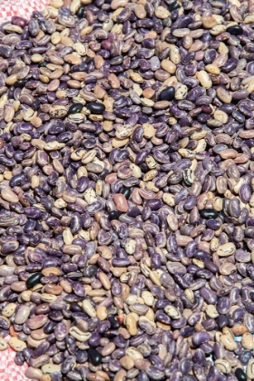 Picture of ECUADOR-QUITO-OTAVALO-FOOD MARKET. PURPLE PINTO BEANS.