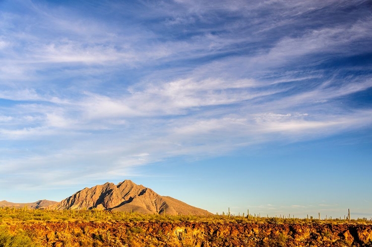 Picture of MEXICO-BAJA CALIFORNIA SUR-SIERRA DE SAN FRANCISCO. LANDSCAPE VIEW FROM RANCHO SAN ESTEBAN.