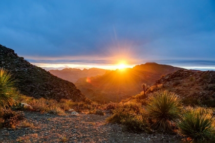 Picture of MEXICO-BAJA CALIFORNIA SUR-SIERRA DE SAN FRANCISCO. DESERT SUNRISE FROM A MOUNTAIN PASS.