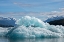 Picture of USA-SE ALASKA-INSIDE PASSAGE-TRACY ARM.