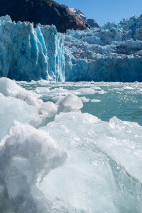 Picture of USA-SE ALASKA-INSIDE PASSAGE-FORDS TERROR WILDERNESS-TRACY ARM-SOUTH SAWYER GLACIER.