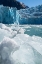 Picture of USA-SE ALASKA-INSIDE PASSAGE-FORDS TERROR WILDERNESS-TRACY ARM-SOUTH SAWYER GLACIER.