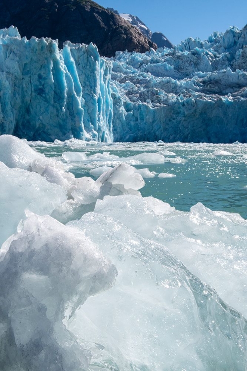 Picture of USA-SE ALASKA-INSIDE PASSAGE-FORDS TERROR WILDERNESS-TRACY ARM-SOUTH SAWYER GLACIER.