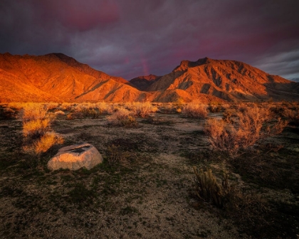 Picture of USA-CALIFORNIA-ANZA-BORREGO DESERT STATE PARK. DESERT LANDSCAPE AND MOUNTAINS AT SUNRISE.