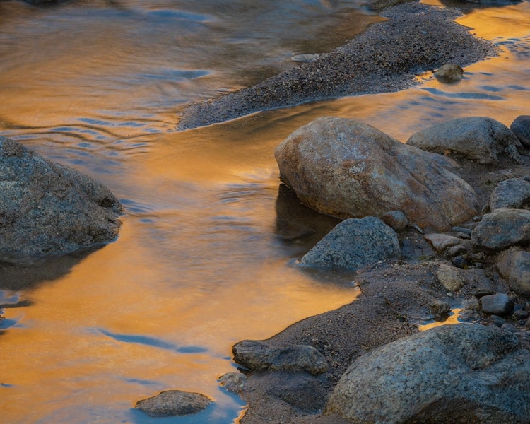 Picture of USA-CALIFORNIA-ANZA-BORREGO DESERT STATE PARK. ROCKS AND GOLDEN REFLECTION ON CREEK.