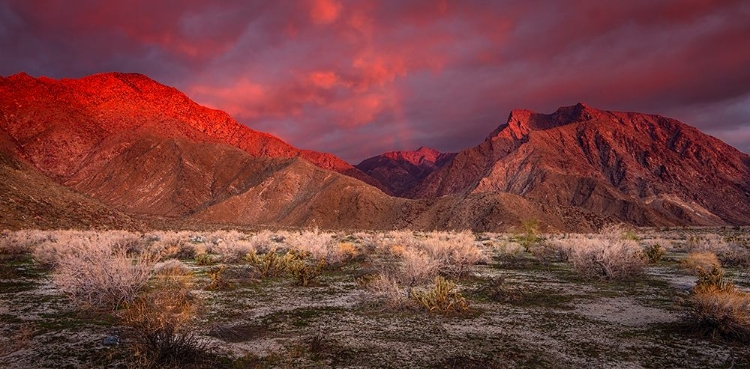 Picture of USA-CALIFORNIA-ANZA-BORREGO DESERT STATE PARK. DESERT LANDSCAPE AND MOUNTAINS AT SUNRISE.