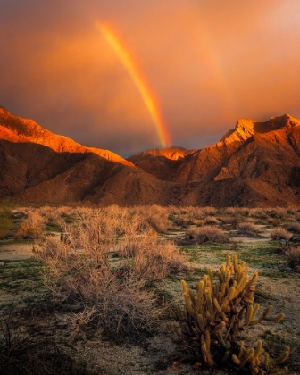 Picture of USA-CALIFORNIA-ANZA-BORREGO DESERT STATE PARK. RAINBOW OVER DESERT MOUNTAINS AT SUNRISE.