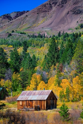 Picture of CABIN IS IN HOPE VALLEY-IN THE SIERRA NEVADA-CALIFORNIA-USA.