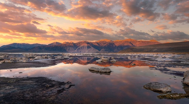 Picture of SIERRA NEVADA SUNRISE REFLECTS IN MONO LAKE.