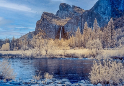 Picture of INFRARED YOSEMITE NATIONAL PARK