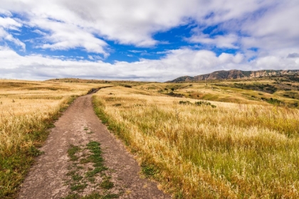 Picture of HIKER ON THE SMUGGLERS COVE TRAIL-SANTA CRUZ ISLAND-CHANNEL ISLANDS NATIONAL PARK-CALIFORNIA.