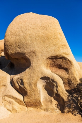 Picture of SKULL ROCK-JOSHUA TREE NATIONAL PARK-CALIFORNIA-USA