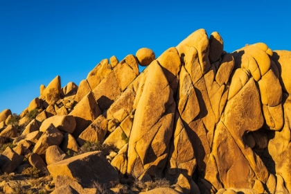 Picture of GRANITE BOULDERS AT JUMBO ROCKS-JOSHUA TREE NATIONAL PARK-CALIFORNIA-USA