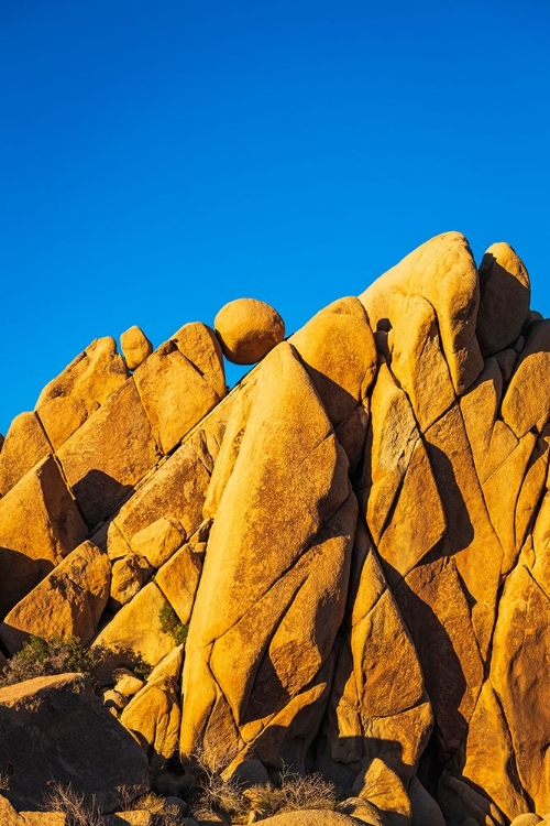 Picture of GRANITE BOULDERS AT JUMBO ROCKS-JOSHUA TREE NATIONAL PARK-CALIFORNIA-USA