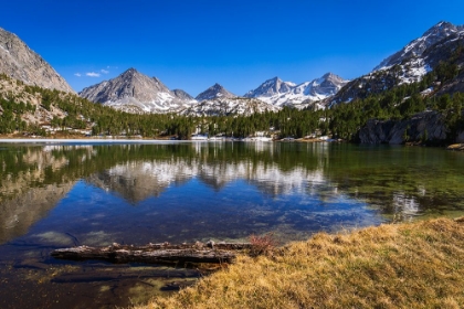 Picture of LONG LAKE IN LITTLE LAKES VALLEY-JOHN MUIR WILDERNESS-CALIFORNIA-USA