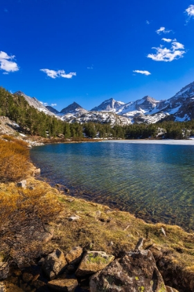 Picture of LONG LAKE IN LITTLE LAKES VALLEY-JOHN MUIR WILDERNESS-SIERRA NEVADA MOUNTAINS-CALIFORNIA-USA