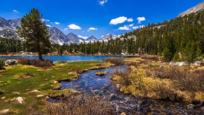 Picture of HEART LAKE IN LITTLE LAKES VALLEY-JOHN MUIR WILDERNESS-CALIFORNIA-USA