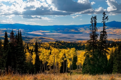 Picture of CONTINENTAL DIVIDE MOUNTAINS AND ASPENS-COLORADO-WALDEN-USA.