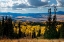 Picture of CONTINENTAL DIVIDE MOUNTAINS AND ASPENS-COLORADO-WALDEN-USA.