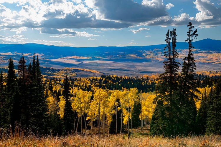Picture of CONTINENTAL DIVIDE MOUNTAINS AND ASPENS-COLORADO-WALDEN-USA.