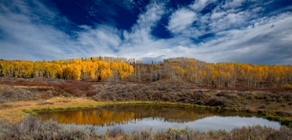 Picture of GRAND VIEW OF ASPEN FOREST AND A POND NEAR THE CONTINENTAL DIVIDE-COLORADO-WALDEN-USA.
