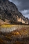 Picture of USA-COLORADO. LIGHT DAPPLED ASPEN FORESTS-KEBLER PASS-GUNNISON NATIONAL FOREST
