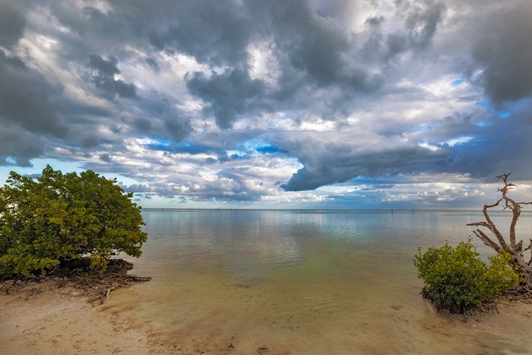 Picture of GULF OF MEXICO WATERS FROM ANNES BEACH ON LOWER MATECUMBE KEY IN ISLAMORADA-FLORIDA-USA