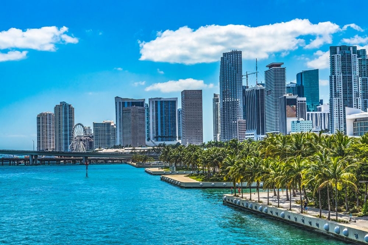 Picture of DOWNTOWN SKYSCRAPERS-MIAMI-FLORIDA