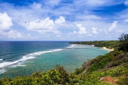 Picture of KILAUEA-KAUAI-HAWAII-USA. VIEWS OVER THE KILAUEA COASTLINE.