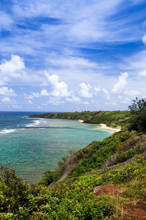 Picture of KILAUEA-KAUAI-HAWAII-USA. VIEWS OVER THE KILAUEA COASTLINE.