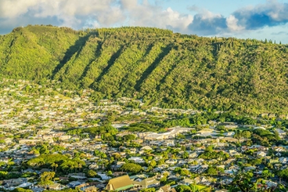 Picture of MANOA VALLEY HOUSES-HONOLULU-HAWAII.