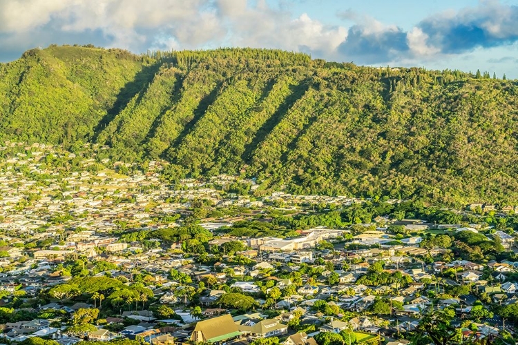 Picture of MANOA VALLEY HOUSES-HONOLULU-HAWAII.