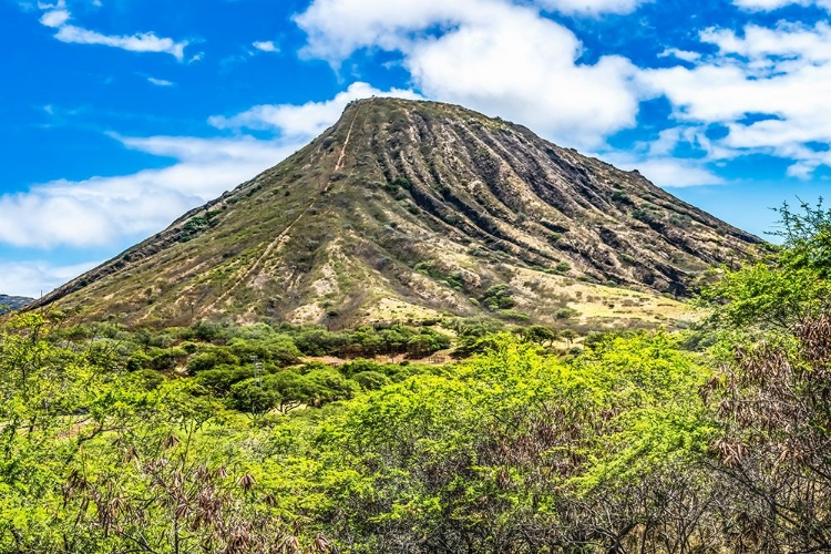 Picture of KOKO CRATER-HONOLULU-OAHU-HAWAII. HIKING TRAIL OVER RAILROAD TRACKS TO SUMMIT