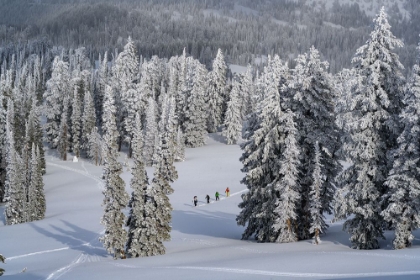 Picture of USA-IDAHO. FOUR SKIERS CLIMBING ON TRAIL NEAR BEAR LAKE