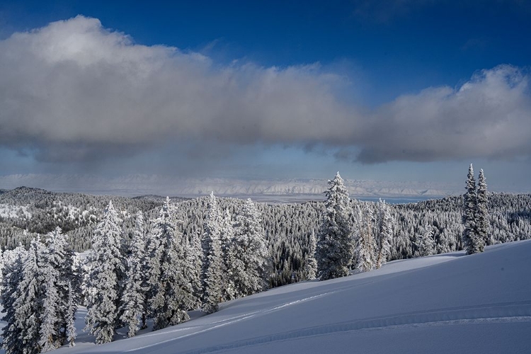 Picture of USA-IDAHO. WINTER LANDSCAPE NEAR BEAR LAKE