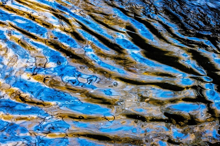 Picture of REFLECTIONS IN LASALLE CANYON CREEK IN STARVED ROCK STATE PARK-ILLINOIS-USA