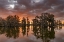 Picture of SUNRISE CLOUDS OVER CYPRESS TREES AT LAKE MARTIN NEAR LAFAYETTE-LOUISIANA-USA