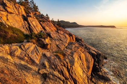 Picture of OTTER CLIFFS AT SUNRISE IN ACADIA NATIONAL PARK-MAINE-USA