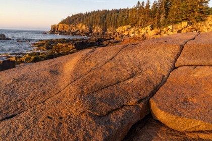 Picture of OTTER CLIFFS AT SUNRISE N ACADIA NATIONAL PARK-MAINE-USA