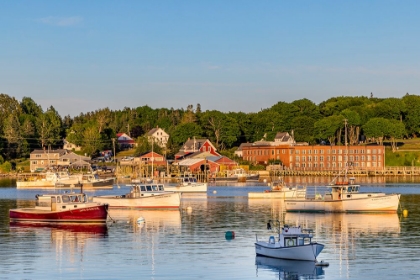 Picture of FISHING BOATS IN HARBOR IN BERNARD-MAINE-USA