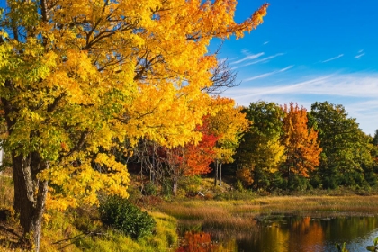 Picture of ACADIA NATIONAL PARK-DUCK POND ROAD