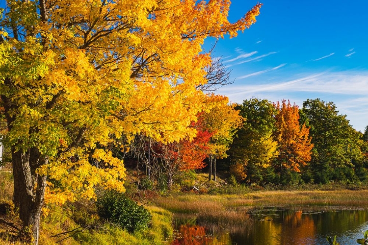 Picture of ACADIA NATIONAL PARK-DUCK POND ROAD